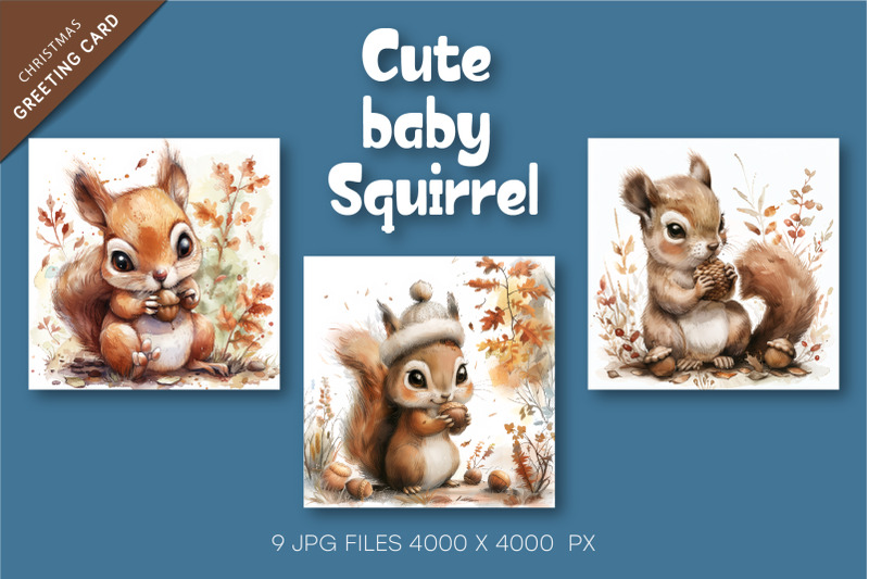 cute-baby-squirrel-animal-clipart