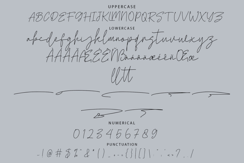 betakra-monoline-script-font