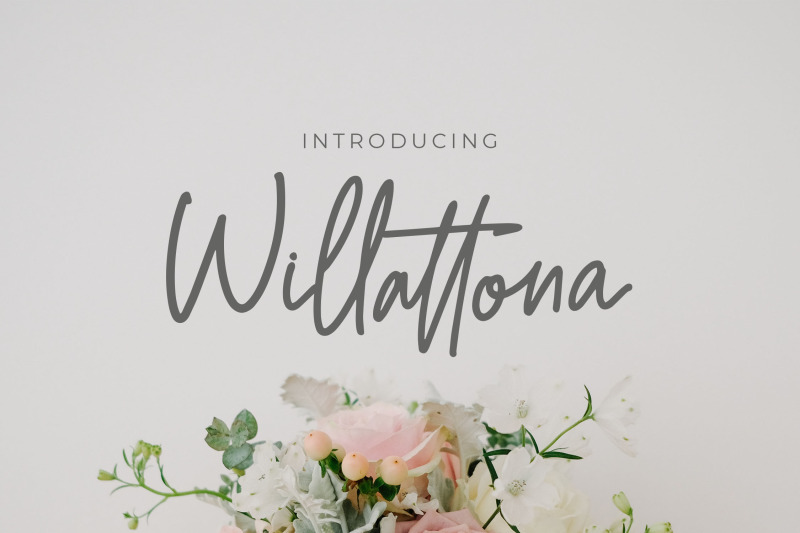 willattona-monoline-script-font