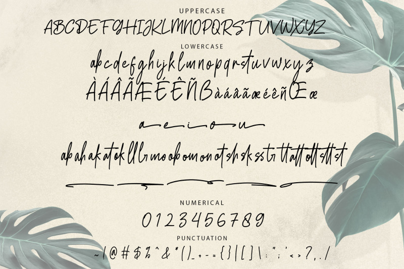 willattona-monoline-script-font