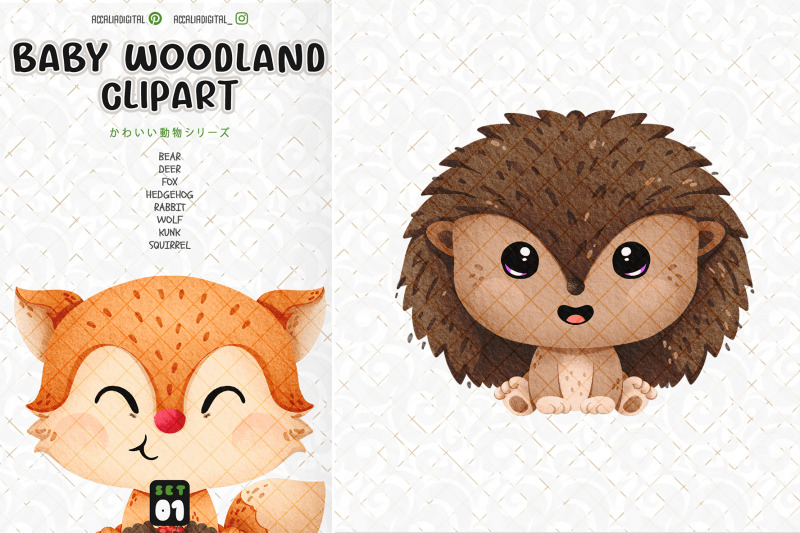 baby-woodland-animal-clipart-set-1-animal-drawing-and-illustration