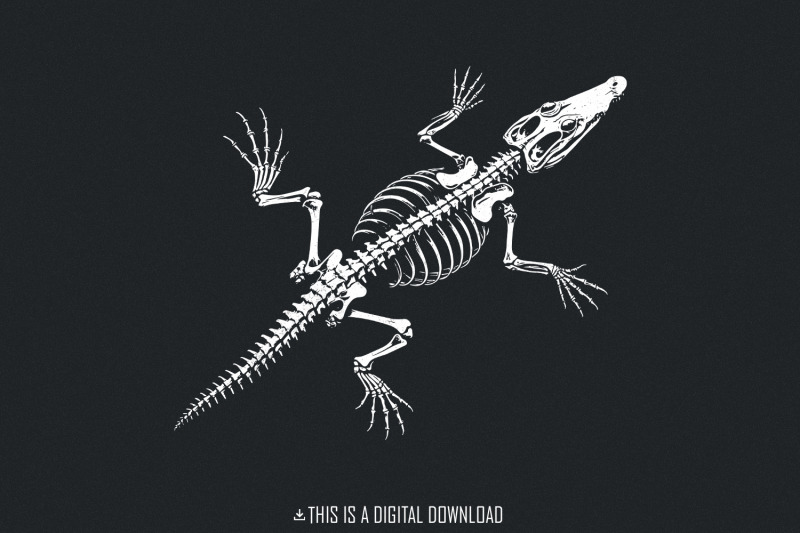 crocodile-skeleton-png-alligator-bones-png-reptile-png-gator-png-c