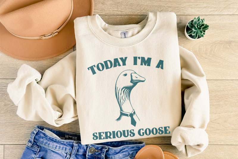 serious-goose-png-silly-goose-funny-silly-goose-cute-goose-graphic