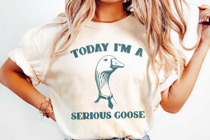 serious-goose-png-silly-goose-funny-silly-goose-cute-goose-graphic