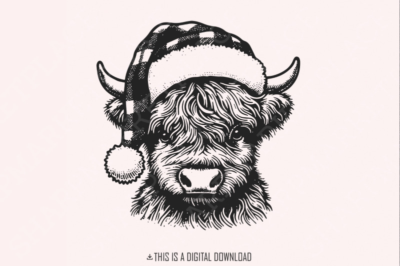 highland-cow-christmas-png-christmas-cow-png-christmas-design-png-w
