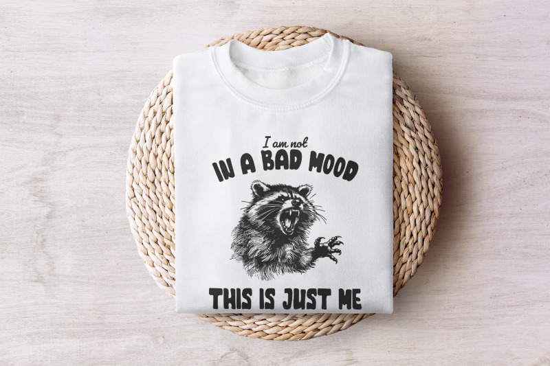 retro-raccoon-png-sarcastic-sublimation-design-mental-health-vintage
