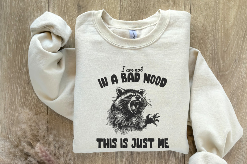 retro-raccoon-png-sarcastic-sublimation-design-mental-health-vintage