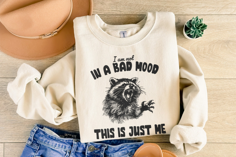 retro-raccoon-png-sarcastic-sublimation-design-mental-health-vintage