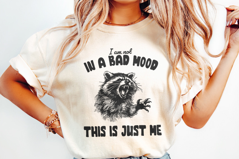 retro-raccoon-png-sarcastic-sublimation-design-mental-health-vintage