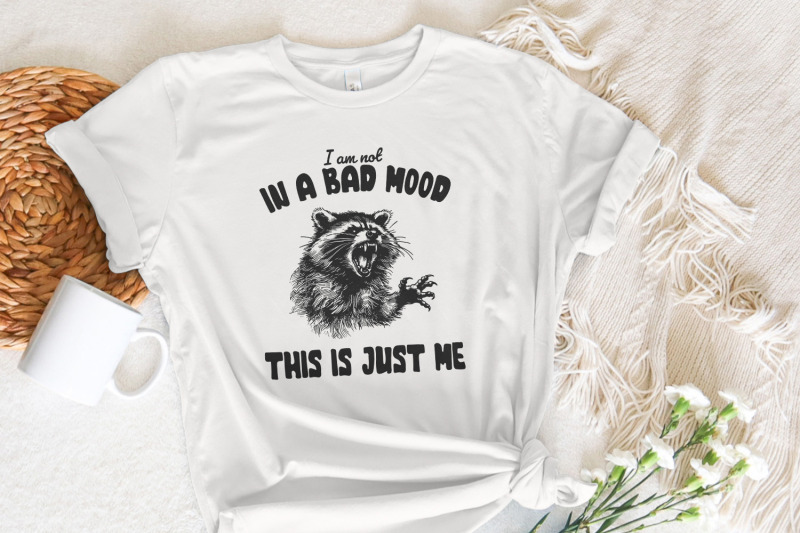 retro-raccoon-png-sarcastic-sublimation-design-mental-health-vintage