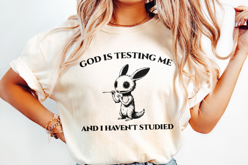 god-is-testing-me-and-i-have-not-studied-png-png-sarcastic-rabbit-png
