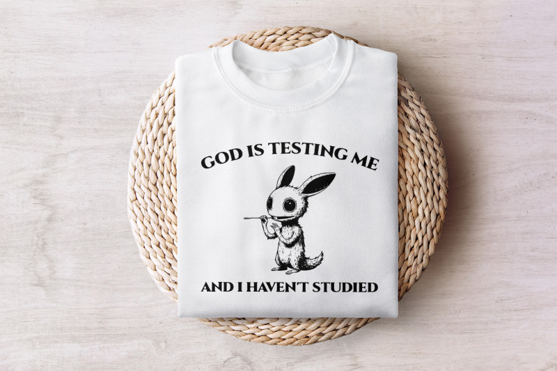 god-is-testing-me-and-i-have-not-studied-png-png-sarcastic-rabbit-png
