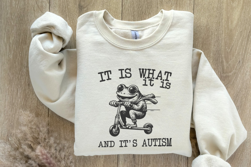 it-is-what-it-is-and-it-039-s-autism-png-funny-raccoon-meme-trash-panda