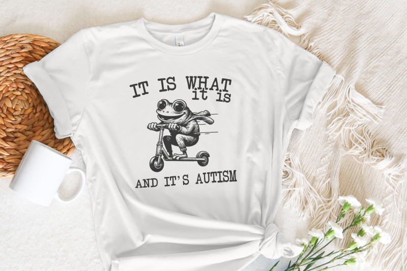 it-is-what-it-is-and-it-039-s-autism-png-funny-raccoon-meme-trash-panda