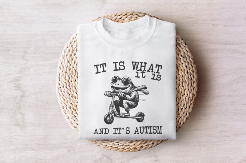 it-is-what-it-is-and-it-039-s-autism-png-funny-raccoon-meme-trash-panda