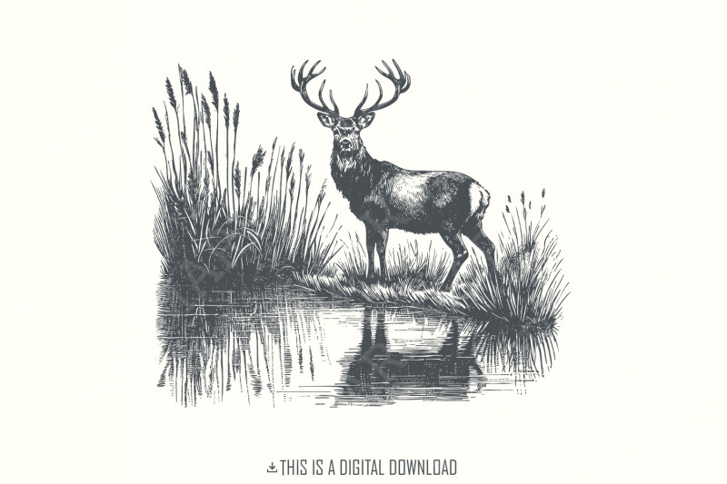 deer-png-design-hunting-png-vintage-deer-art-nature-camping-wildlif