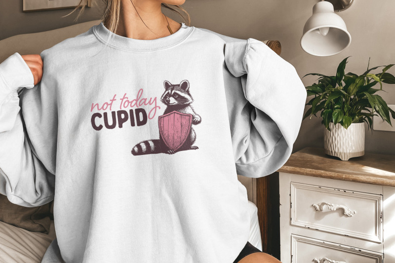 not-today-cupid-png-funny-feral-raccoon-valentines-day-png-retro-val