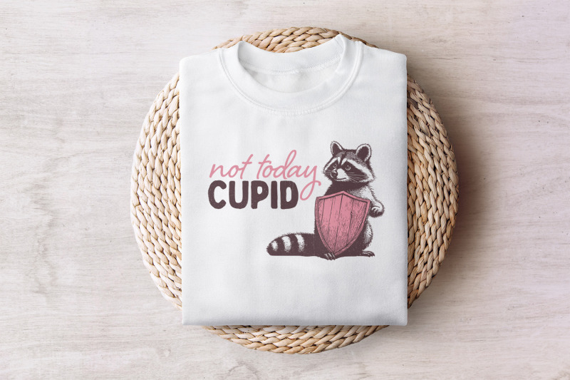 not-today-cupid-png-funny-feral-raccoon-valentines-day-png-retro-val