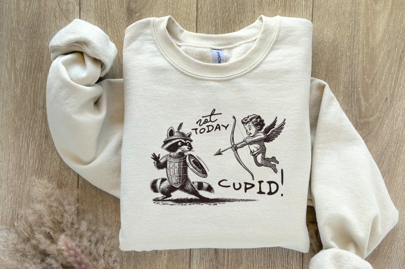 not-today-cupid-png-funny-feral-raccoon-valentines-day-png-retro-val