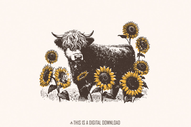 highland-cow-png-sunflowers-clipart-farm-animal-sublimation-design-c
