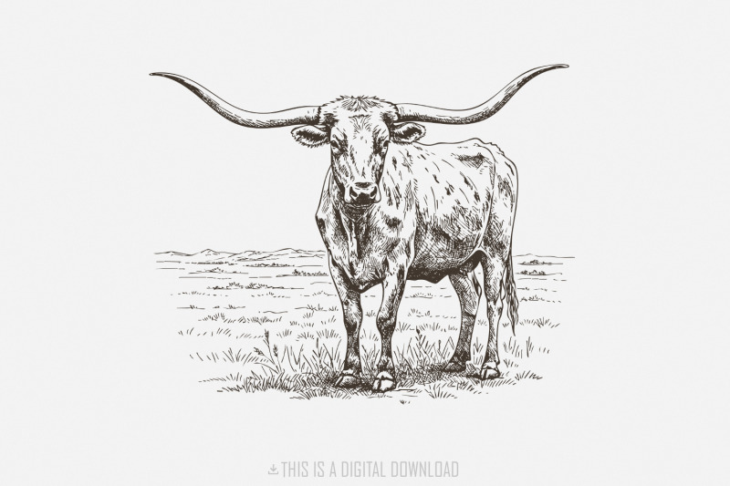 texas-longhorn-western-png-cowgirl-cowboy-country-design-vintage-st