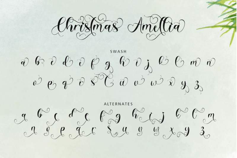 christmas-amellia