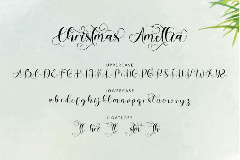 christmas-amellia