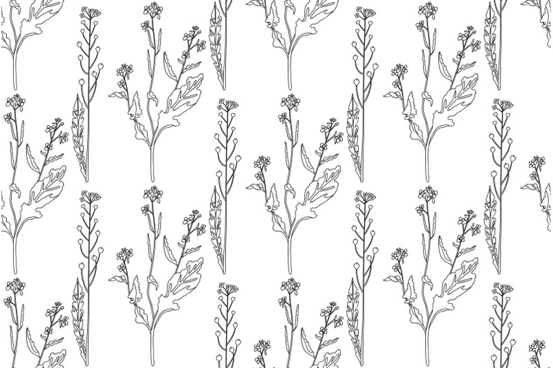 line-art-botanical-plants-floral-seamless-pattern-with-wildflowers-vec