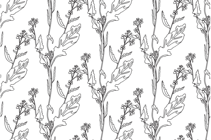 line-art-botanical-plants-floral-seamless-pattern-with-wildflowers-vec