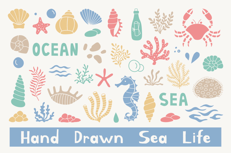 hand-drawn-sea-life-summer-png-clipart