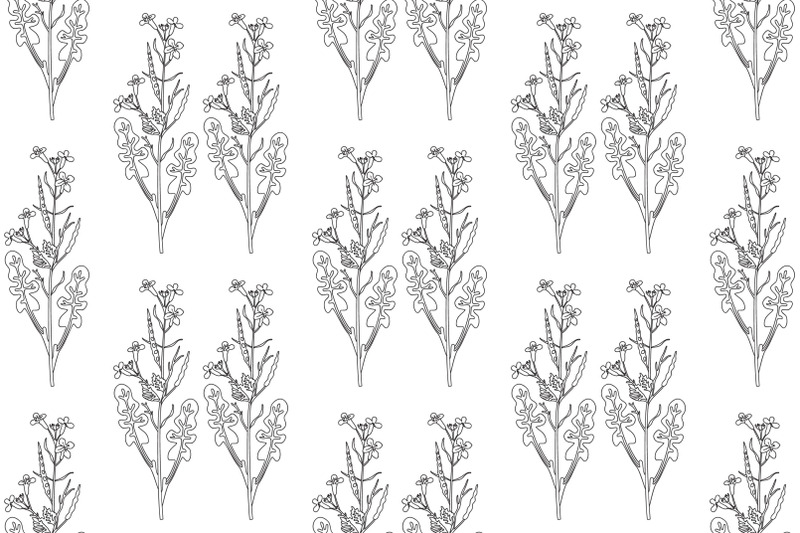 line-art-botanical-plants-floral-seamless-pattern-with-wildflowers-vec