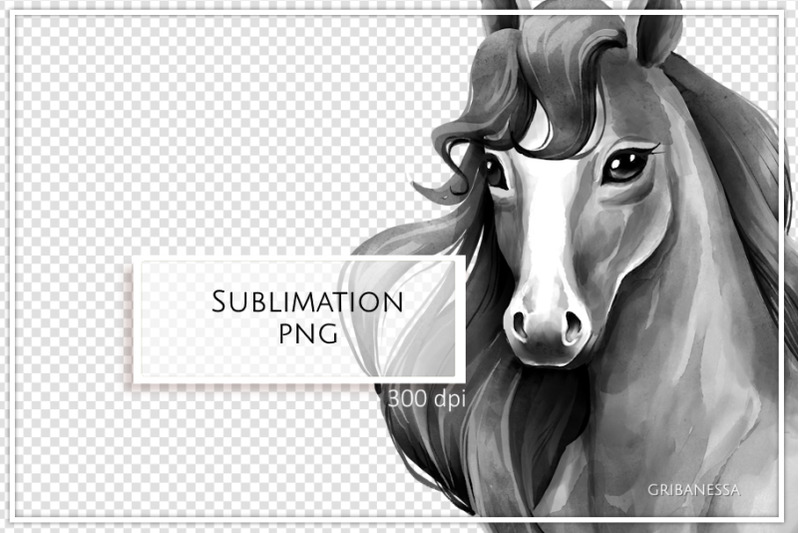 horse-bw-png-illustration