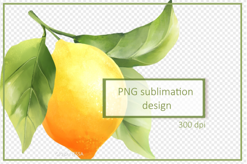 lemon-branch-png-illustration
