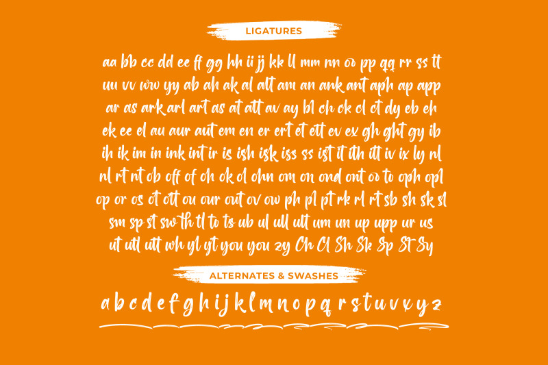 interest-explore-modern-brush-font
