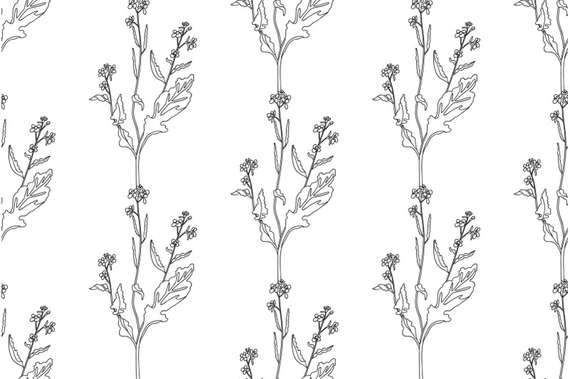 line-art-botanical-plants-floral-seamless-pattern-with-wildflowers-bou