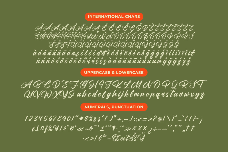 rushed-elegance-bold-calligraphy-font