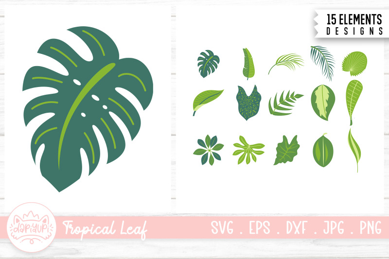 tropical-leaf-illustration-bundle-tropical-plant-clipart