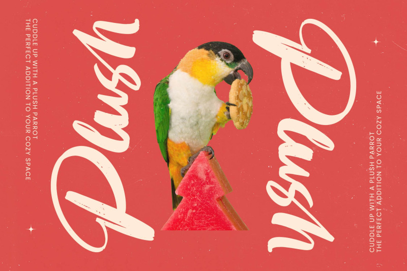 huntail-peach-bold-brush-font