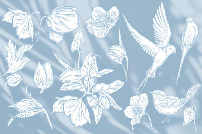 graphic-blue-3-wedding-collection