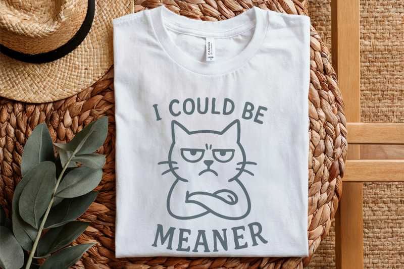 meaner-tee-png-spicy-attitude-digital-confident-shirt-print-funny-p
