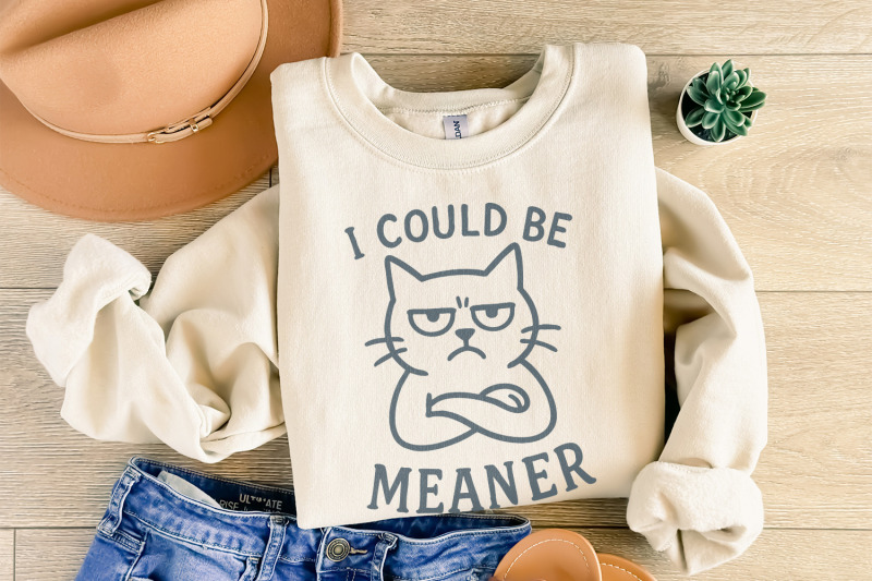 meaner-tee-png-spicy-attitude-digital-confident-shirt-print-funny-p