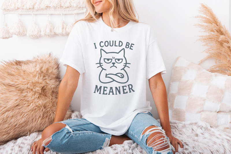 meaner-tee-png-spicy-attitude-digital-confident-shirt-print-funny-p