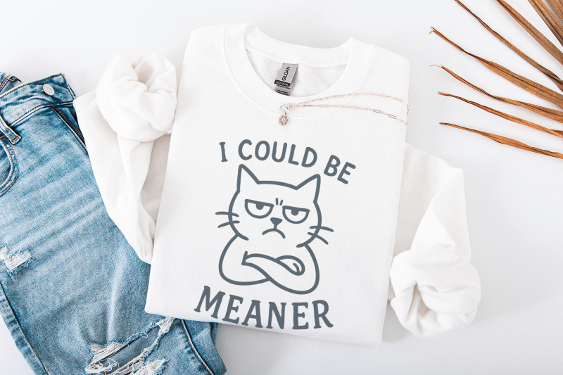meaner-tee-png-spicy-attitude-digital-confident-shirt-print-funny-p