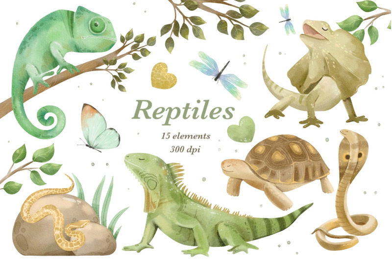watercolor-animals-bundle-8-in-1