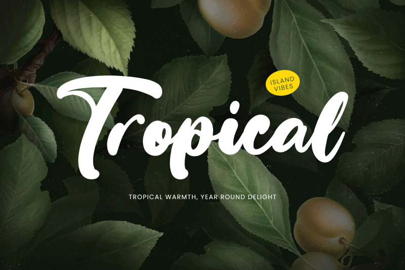 bumble-ritual-bold-handwritten-font