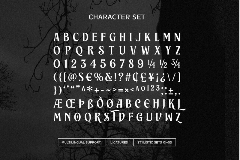 brillante-siempre-fancy-serif