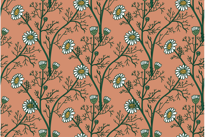 botanical-floral-seamless-pattern-with-chamomile-flowers-vector-illust