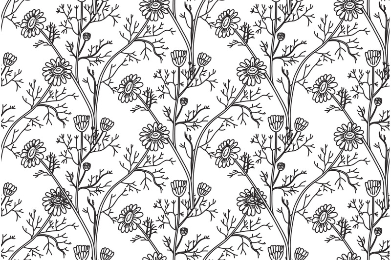 line-art-botanical-seamless-floral-pattern-with-flowers-chamomile-vect