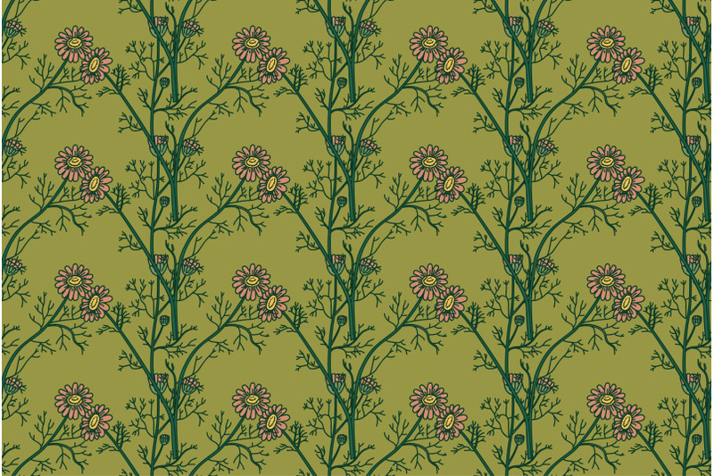 botanical-floral-seamless-pattern-with-chamomile-flowers-vector-illust