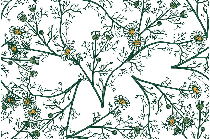 botanical-floral-seamless-pattern-with-chamomile-flowers-vector-illust